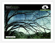 Treehouse - Mar 2006